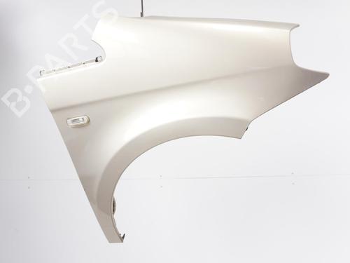 Right front fenders LANCIA MUSA (350_) 1.3 D Multijet (350.AXM11, 350.AXM1A, 350.AXI1A) | BP18176169C42 