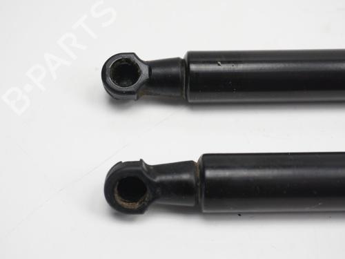 Tailgate lift support RENAULT SCÉNIC IV (J9_) 1.6 dCi 130 | BP18176281C138 