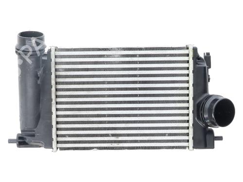 Used Intercooler RENAULT SCÉNIC IV (J9_) 1.5 dCi 110 (110 hp) 28827069