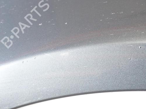 Left front fenders SEAT ALTEA (5P1) 1.9 TDI | BP18194782C41 