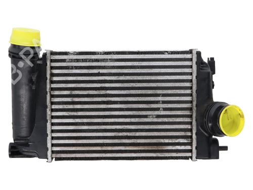 Used Intercooler Intercooler RENAULT MEGANE IV Hatchback (B9A/M/N_) 1.5 dCi 110 (B9A3) (110 hp) 20220091 20220091