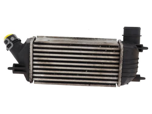 Intercooler CITROËN JUMPY II Van 2.0 HDi 125 (128 hp) 21758851
