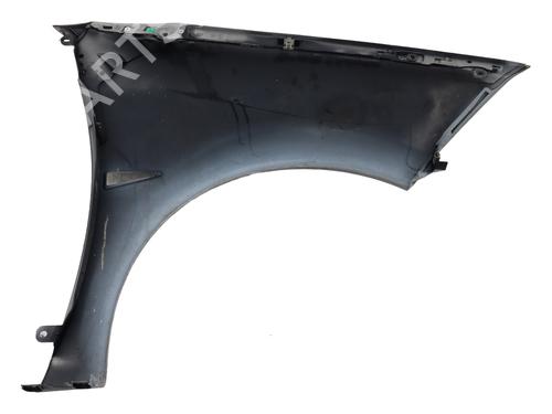 Left front fenders RENAULT MEGANE II (BM0/1_, CM0/1_) 1.6 16V (BM0C, CM0C) | BP21076418C41