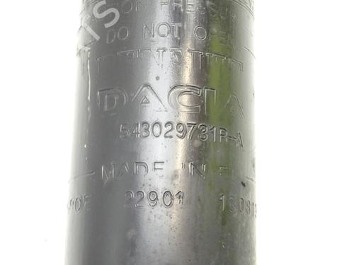 Left front shock absorber DACIA SANDERO II TCe 90 (B8M1, B8MA, B8AC) | BP18186823M16
