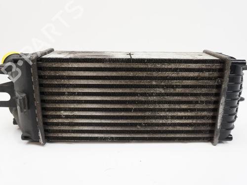Intercooler PEUGEOT PARTNER Box Body/MPV (5_, G_) 1.6 HDi 75 | BP18188134M30 