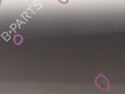 Left rear door RENAULT SCÉNIC III (JZ0/1_) 1.5 dCi | BP22274133C4 
