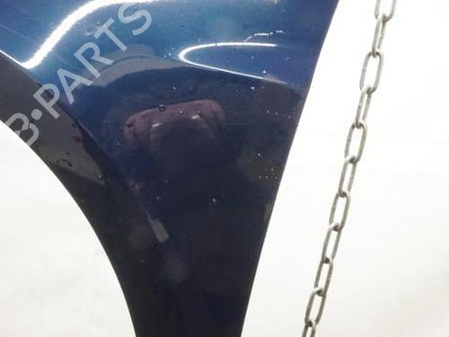 Left front fenders RENAULT CLIO III (BR0/1, CR0/1) 1.4 16V | BP18189674C41 