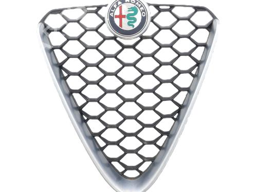 Used Grille Grille 39585076 39585076