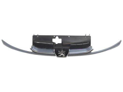 Grill PEUGEOT 206 Hatchback (2A/C) 1.4 HDi eco 70 (68 hp) 27303480