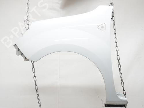 Left front fenders RENAULT KANGOO / GRAND KANGOO II (KW0/1_) 1.5 dCi 85 (KW0K, KW0L, KW0B) | BP18196559C41 