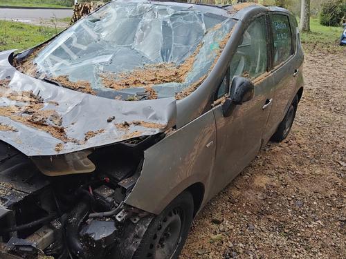 Switch RENAULT SCÉNIC III (JZ0/1_) 1.6 dCi (JZ00, JZ12) | BP23220251I30  - Image 8