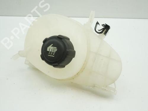 Used Expansion tank RENAULT TWINGO III (BCM_, BCA_) 1.0 SCe 70 (BCMB) (69 hp) 18193039