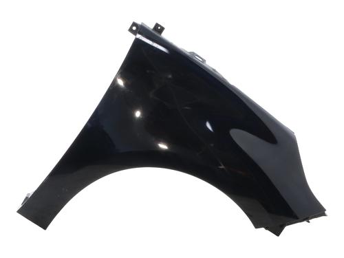 Used Right front fenders RENAULT SCÉNIC III (JZ0/1_) 1.6 dCi (JZ00, JZ12) (130 hp) 24828681