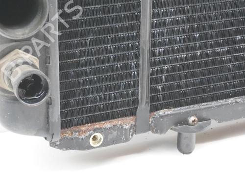 Køler FIAT DUCATO Platform/Chassis (230_) 1.9 TD | BP18185155M31 