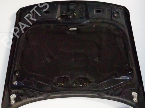 Hood VW TOUAREG (7LA, 7L6, 7L7) 3.0 V6 TDI | BP18192421C1 