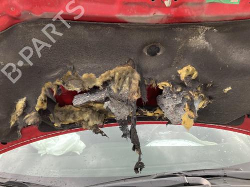 Alternator HONDA CIVIC IX (FK) 2.2 i-DTEC (FK3) | BP33679574M7 - Image 17