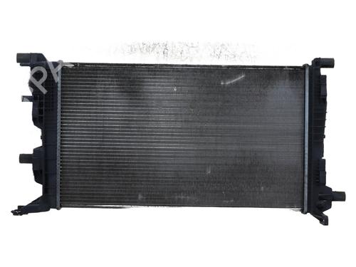 Water radiator RENAULT SCÉNIC III (JZ0/1_) 1.5 dCi | BP24611994M31 
