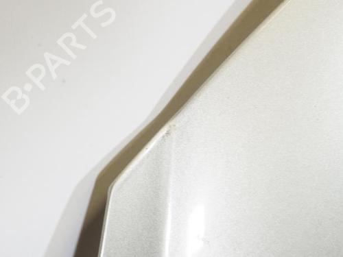 Used Hood PEUGEOT 207 (WA_, WC_) 1.6 HDi (90 hp) 18179037