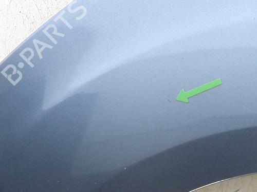 Left front fenders CITROËN BERLINGO MULTISPACE (B9) 1.6 HDi 90 | BP29481084C41 
