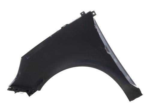 Right front fenders RENAULT SCÉNIC III (JZ0/1_) 1.6 dCi (JZ00, JZ12) | BP24828681C42