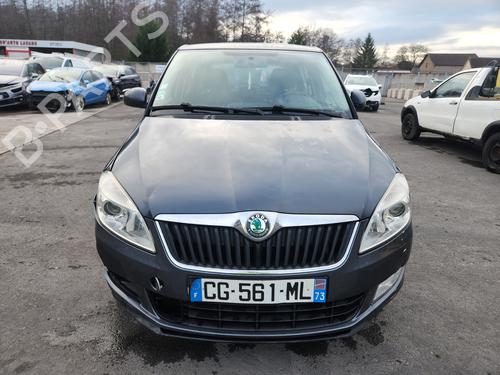 Used Parts SKODA FABIA II (542) 1.6 TDI (75 hp) 4404818