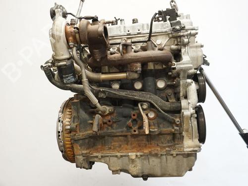 Motor HYUNDAI i20 I (PB, PBT) 1.4 CRDi (75 hp) 18194376