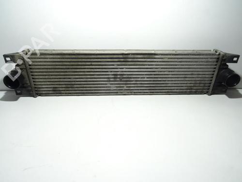 Used Intercooler RENAULT MASTER II Van (FD) 2.5 dCi 120 (FD0M, FD0U, FD0W, FD2M, FD2W, FD3M, FD3U,... (115 hp) 18185773