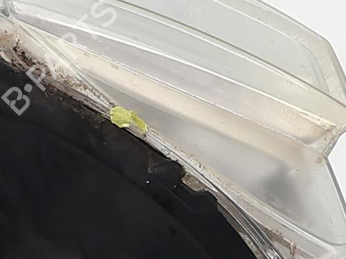 Faro izquierdo CITROËN BERLINGO MULTISPACE (B9) 1.6 HDi 90 | BP29501024C28 