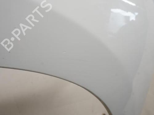 Used Left front fenders RENAULT KANGOO / GRAND KANGOO II (KW0/1_) 1.5 dCi 85 (KW0K, KW0L, KW0B) (86 hp) 18196559