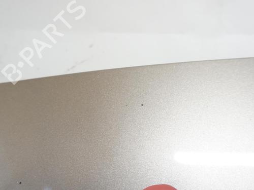 Hood CITROËN NEMO MPV 1.4 HDi | BP18173141C1 