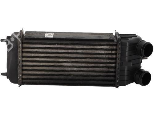 Used Intercooler PEUGEOT 207 (WA_, WC_) 1.6 HDi (90 hp) 19730305