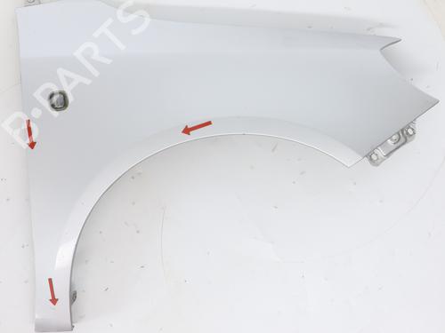 Used Right front fenders SKODA FABIA II (542) 1.6 TDI (75 hp) 28707097