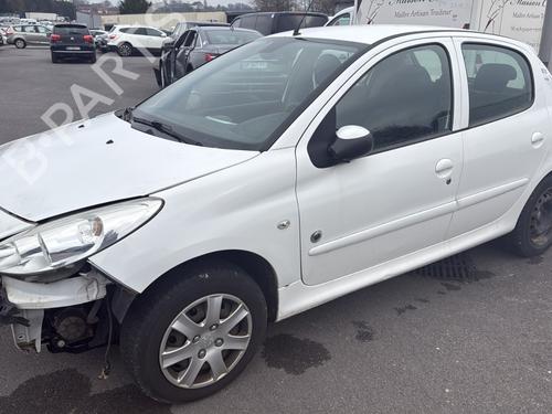 Used Parts PEUGEOT 206+ (2L_, 2M_) 1.4 HDi eco 70 (68 hp) 4254139
