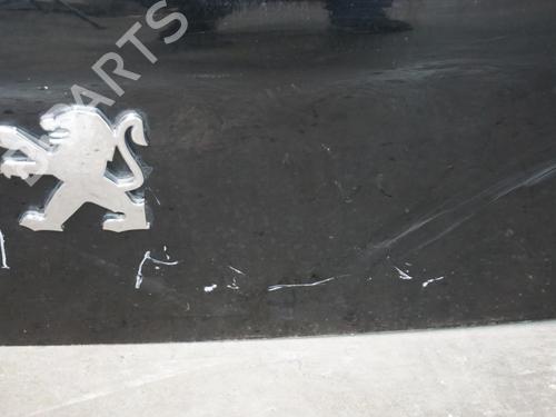 Tailgate PEUGEOT 3008 I MPV (0U_) 2.0 HDi 150 / BlueHDi 150 | BP18196273C6 