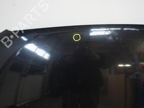Used Hood HYUNDAI SANTA FÉ II (CM) 2.2 CRDi GLS 4x4 (150 hp) 18177251