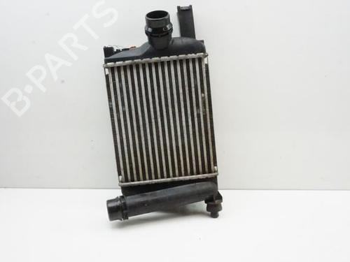 Used Intercooler DACIA DUSTER (HM_) 1.3 TCe 130 4x4 (HMMF) (131 hp) 18185217