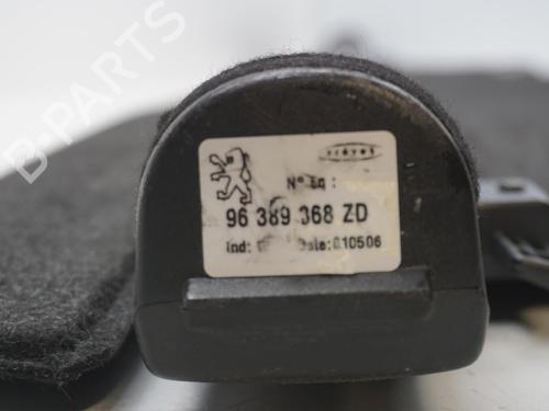 Rear parcel shelf PEUGEOT 307 SW (3H) 1.6 HDI 110 | BP18171692C85 