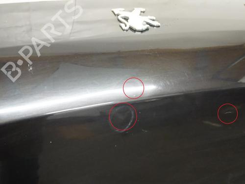 Tailgate PEUGEOT 607 (9D, 9U) 2.7 HDi 24V | BP18188774C6