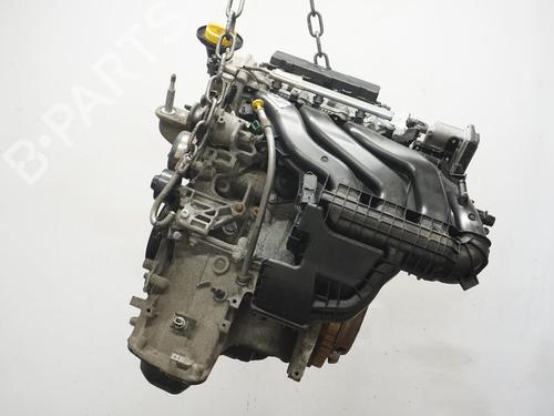 Motor RENAULT TWINGO III (BCM_, BCA_) 1.0 SCe 70 | BP19403982M1 