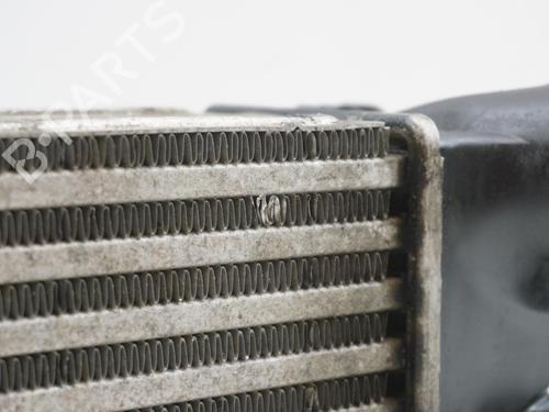 Used Intercooler PEUGEOT PARTNER Box Body/MPV 1.6 HDi (75 hp) 18181637