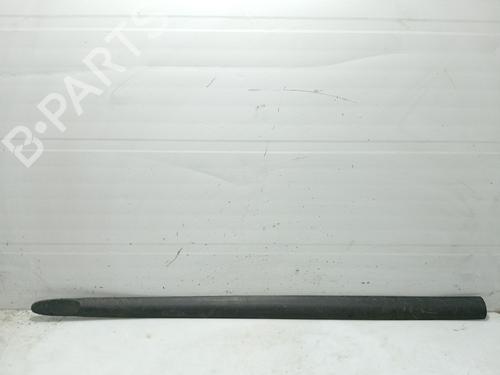 Türzierleiste für OPEL CORSA B (S93) 1.7 D (F08, F68, M68) (60 hp) 31102656