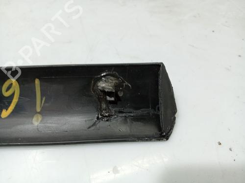Door moulding trim PEUGEOT 207 (WA_, WC_) 1.4 HDi | BP31102316C150