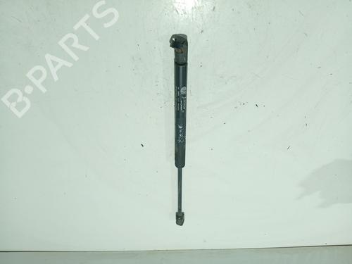 tailgate-lift-support-renault-megane-ii-bm01_-cm01_-2001-2002-2003-2004-2005-2006-2007-2008-2009-2010-2011-2012-31103414 main image