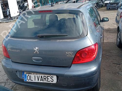 Engine PEUGEOT 307 (3A/C) 1.6 HDi 110 | BP32417091M1