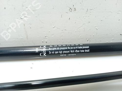 Tailgate lift support SEAT IBIZA IV (6J5, 6P1) 1.2 TDI | BP31106588C138