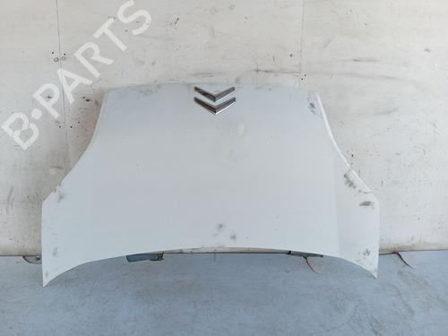 Used Hood Hood CITROËN NEMO Box Body/MPV (AA_) 1.4 HDi (68 hp) 34059719 34059719