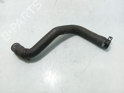Pipe RENAULT CLIO III (BR0/1, CR0/1) | BP31110341M125 - Image 2