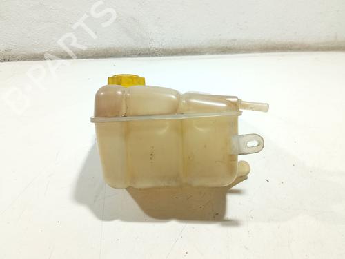 Expansion tank FORD TRANSIT CONNECT (P65_, P70_, P80_) 1.8 TDCi | BP31106175C120 