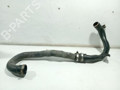 Used Pipe NISSAN ALMERA II Hatchback (N16) 1.5 dCi (82 hp) 31106047