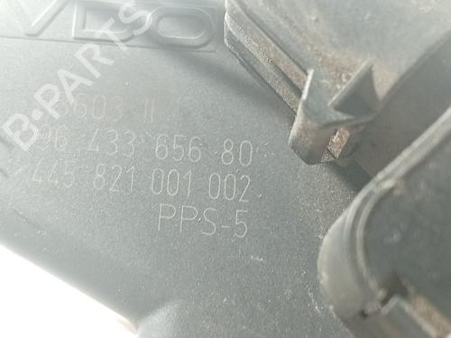 Pedale Pedale CITROËN XSARA PICASSO (N68) 2.0 HDi (90 hp) 39652452 39652452
